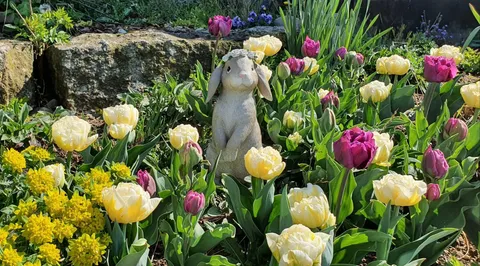 Gepflegter Rasen und Gartengestaltung